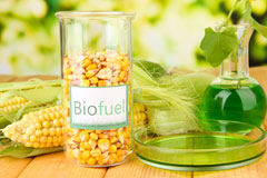 Bishopsteignton biofuel availability